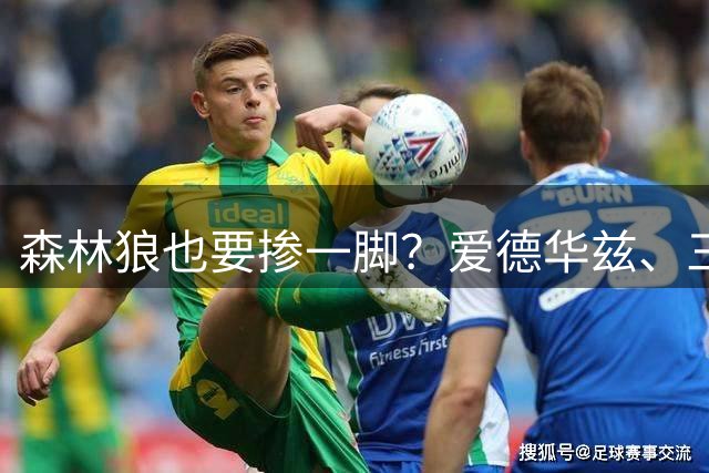 森林狼也要掺一脚？爱德华兹、三球联手招募，詹姆斯去向即将揭晓